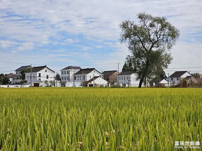 【一鏡一世界】+秋收