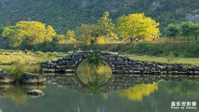 【一鏡一世界】一景一視界