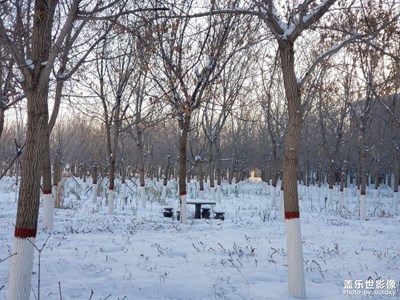 冬天第一場雪