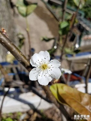 【與時(shí)光對(duì)話(huà)】回憶