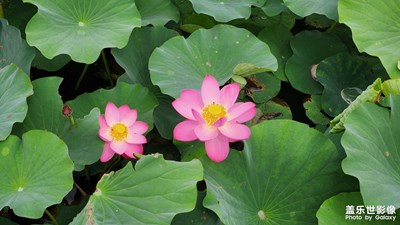 【與時光的對話】+ 回憶過往