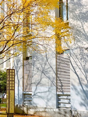 【與時(shí)光對(duì)話】凱院的秋