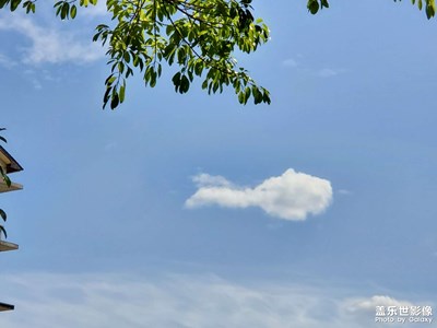 【與時(shí)光的對(duì)話】+天氣晴