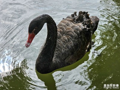 【我們的視界】校園里的秋中湖