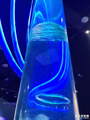 [我們的視界]生活隨拍