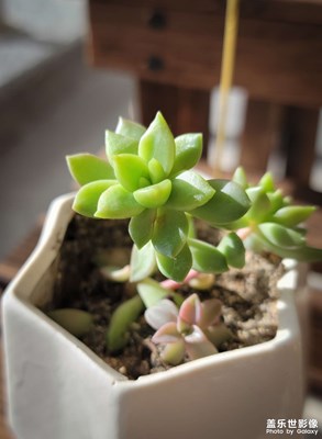 【淡寫時光】+圖書館隨拍