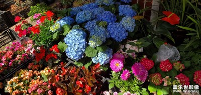 【淡寫時光】+ 隨手拍