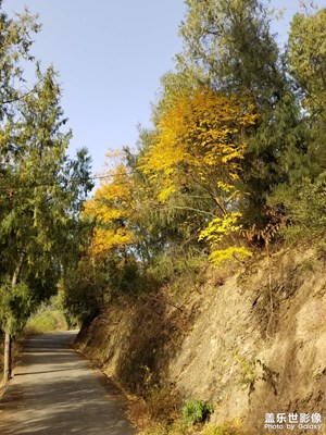 【快樂(lè)隨拍】午后陽(yáng)光