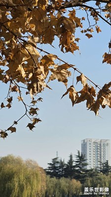 【淡寫時光】+冬天的公園一角