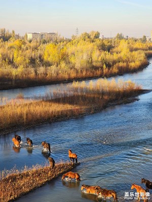 【難忘2023】駿馬