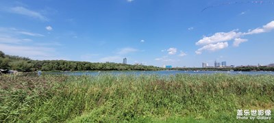 【難忘2023】+逛公園