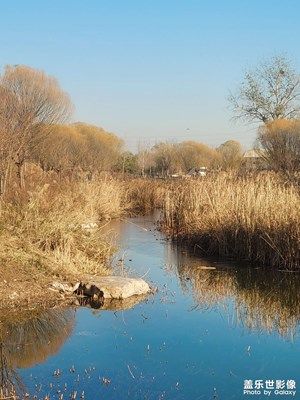 【快樂隨拍】+初冬景色