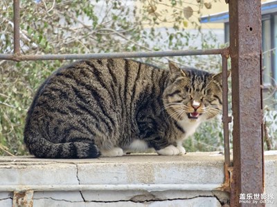 【難忘2023】開心與挑戰(zhàn)并存的一年