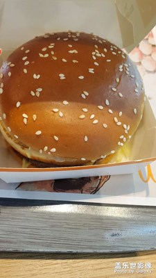 【快樂隨拍】+記錄歡樂時光