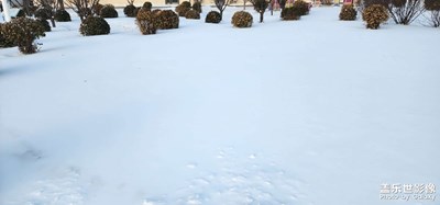 【隨處風(fēng)景】+ 雪后美景