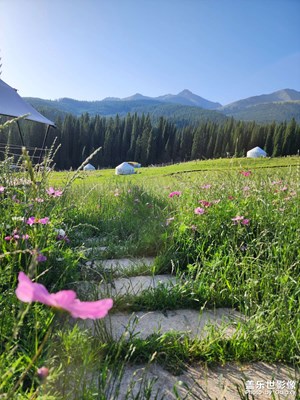 【難忘2023】盛夏美景