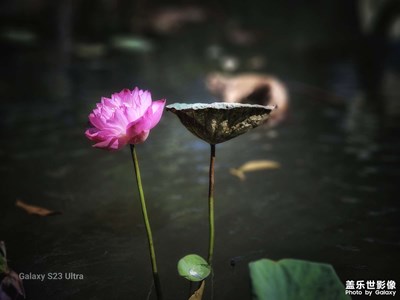 【難忘2023】+ 走走拍拍