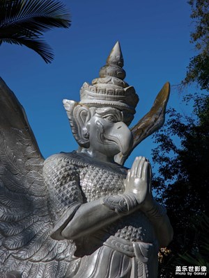 【冬日里的溫暖】冬日云南的溫暖與明媚