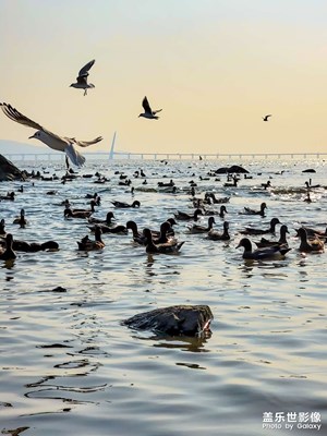 【難忘2023】26歲這一年