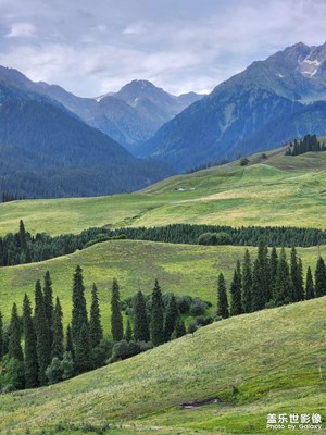 【難忘2023】仁者樂山