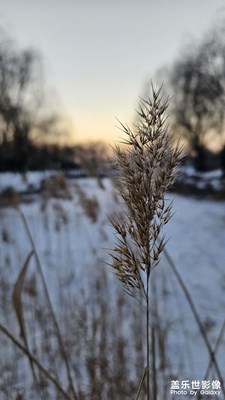 【喜迎2024】+2023年最后一天！