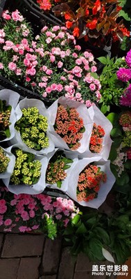 【難忘2023】收獲頗豐