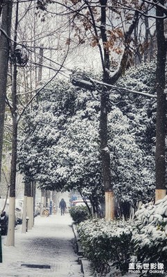 聽(tīng)雪落下的聲音