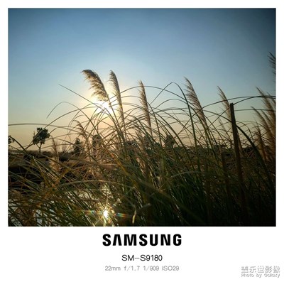 【辭舊迎新】+冬日暖陽