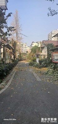 隨拍
