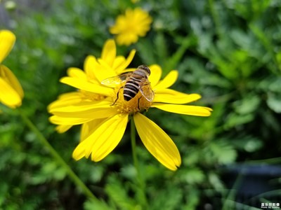 美好的下午時(shí)光