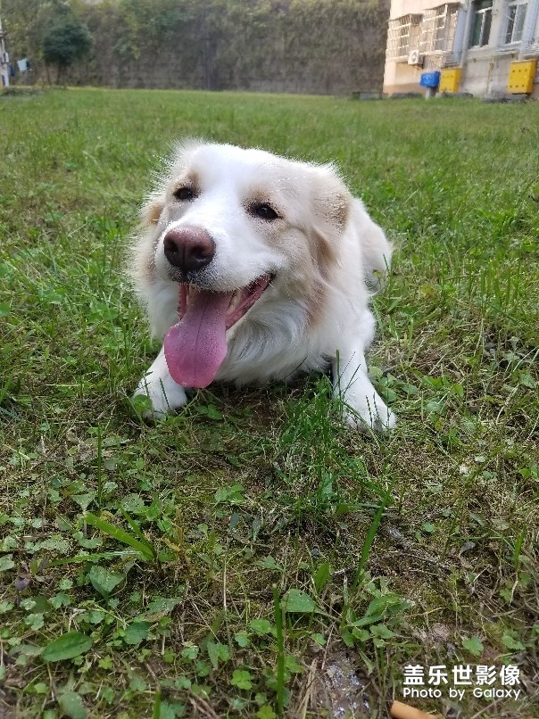 日常的它們！