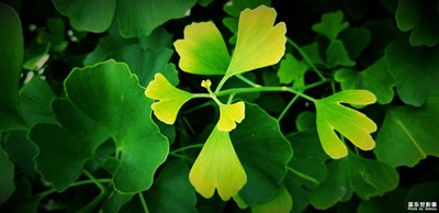 與Samsung Galaxy定格每一個精彩畫面