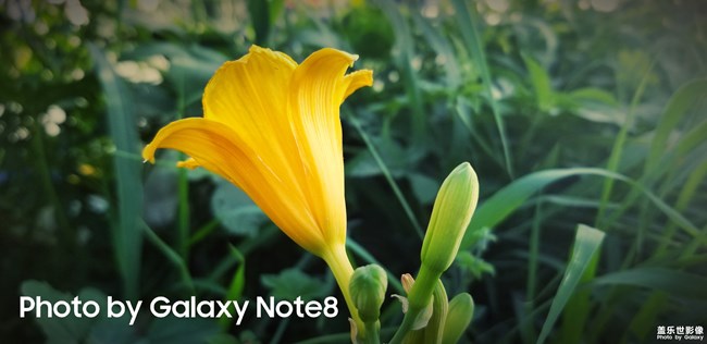 【第101期：三星Galaxy A9 Star | A9 Star Lite 正式發(fā)布】