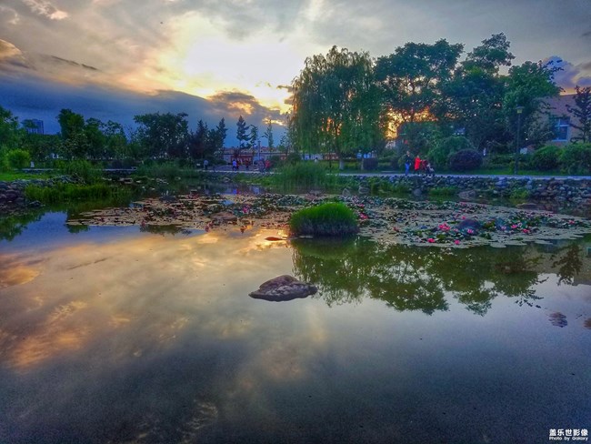 【104期：炎熱夏季 你有什么特別的去暑方式嗎？】