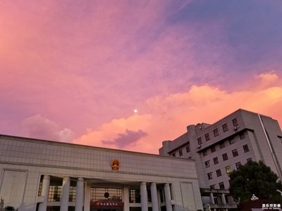 隨手拍（7）