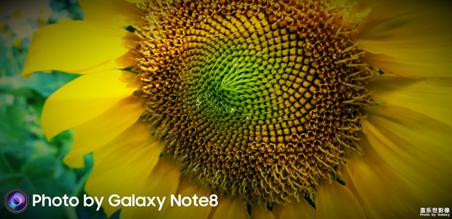 【104期：炎熱夏季 你有什么特別的去暑方式嗎？】