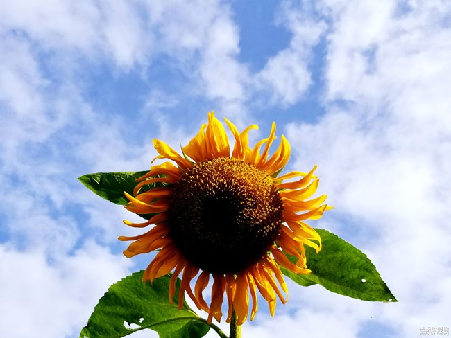 【第107期：精帖匯入圍的的小伙伴記得要回復確認喔】