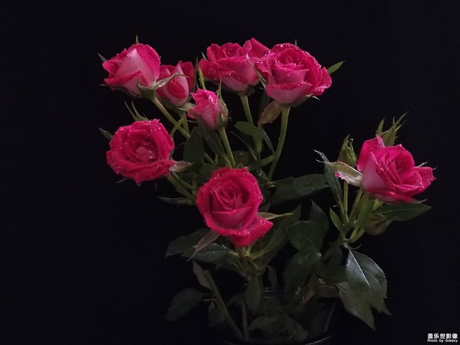 【第110期：全新三星Galaxy Note9 正式發(fā)布】