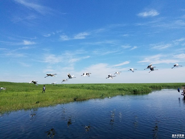 【112期：你最喜歡Galaxy Note9哪個(gè)功能呢？】