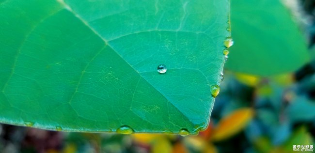 【112期：Note9首銷 期待更多的玩機(jī)技巧分享】