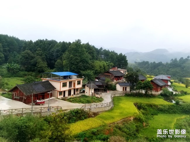 【114期：三星純粹呈現(xiàn) 華晨宇鳥巢演唱會(huì)High翻天】