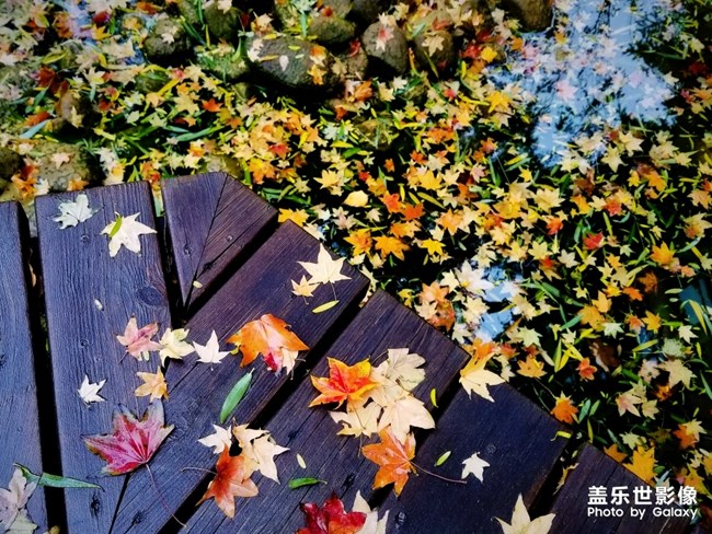 【120期：全新Galaxy A系列產(chǎn)品正式發(fā)布 嗨爆西安】