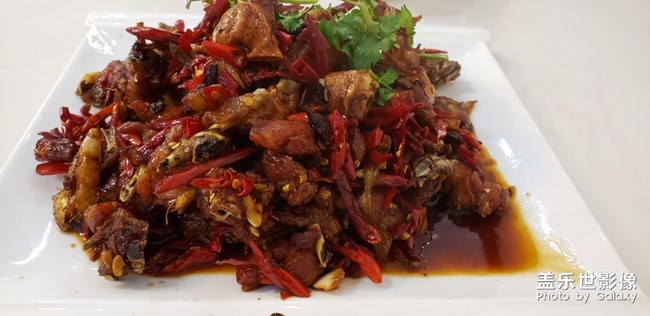 【手機(jī)里的美食】＋各種美食show