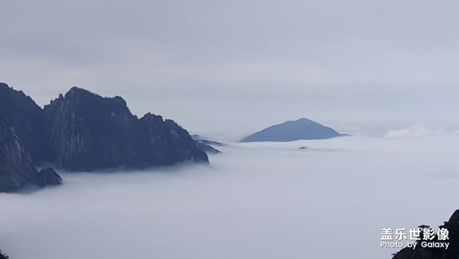 【黃山-云海】