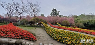 已開獎(jiǎng) 蓋樂世影像周賽第81期——踏春