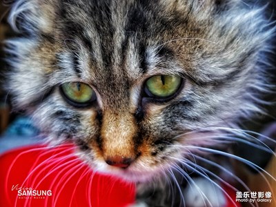 慢生活·游老街