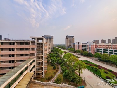 廣角還是挺好用的哈哈哈哈