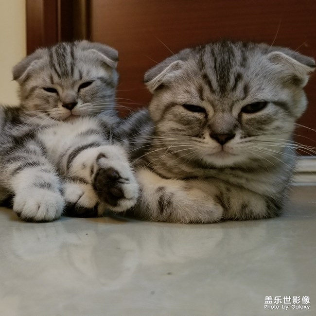 大佬