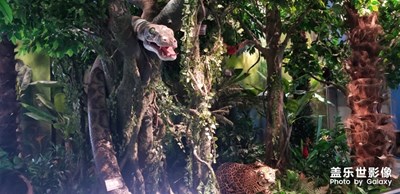 上方山動(dòng)物園