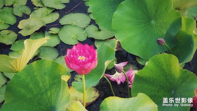 【每周精帖匯152】三星5G 遠(yuǎn)見(jiàn)·未來(lái)